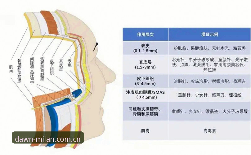 选对米兰体育数据接口的实用技巧——从新手到进阶的3个关键判断